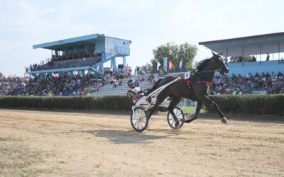 Satnica – polufinalna i finalna takmičenja 62. LJKI